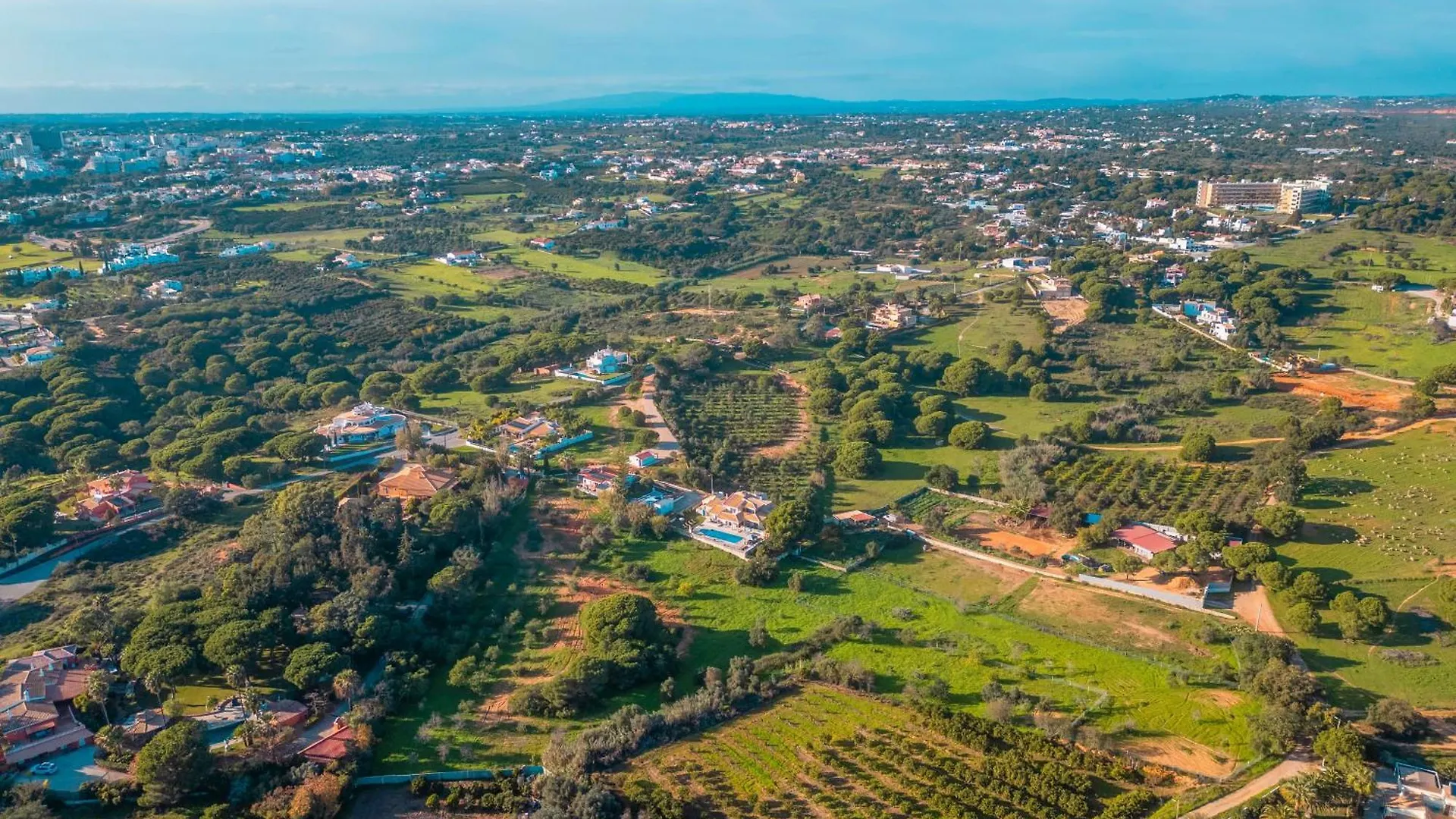 Villa Paloma By Algarve Vacation Albufeira